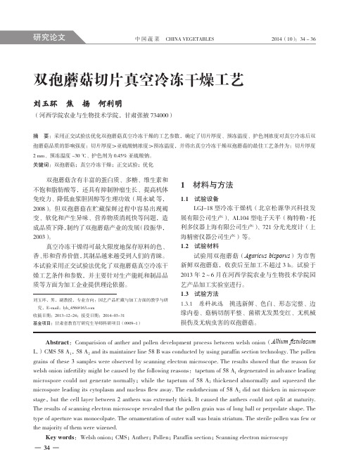 双孢蘑菇切片真空冷冻干燥工艺