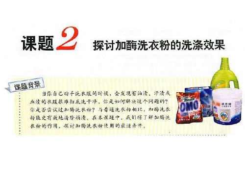 探讨加酶洗衣粉的洗涤效果