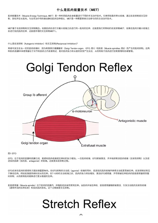 什么是肌肉能量技术（MET）