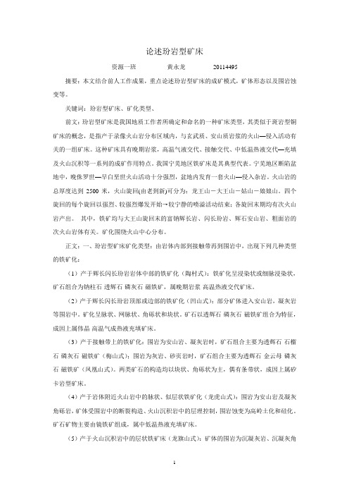 论述玢岩型矿床