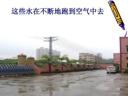 青岛版五年级科学蒸发ppt (1)