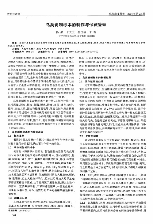 鸟类剥制标本的制作与保藏管理
