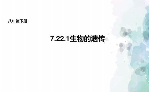 苏科版-生物-八年级下册-7.22.1生物的遗传 课件