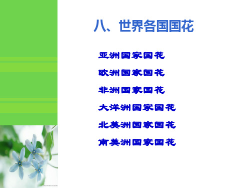 世界各国国花——3