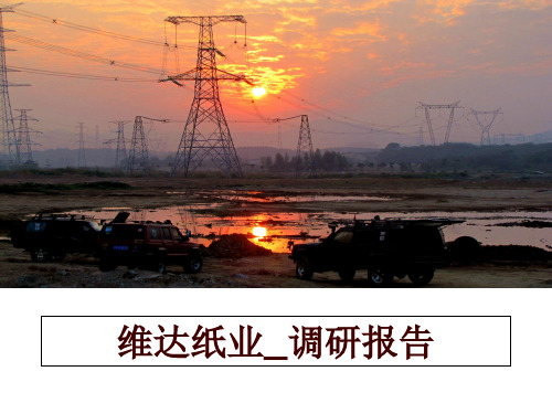 最新维达纸业_调研报告
