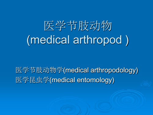 医学节肢动物