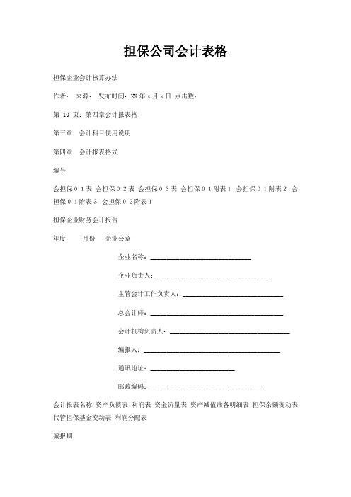担保公司会计表格