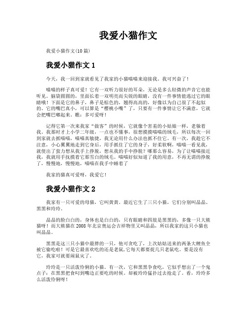 我爱小猫作文
