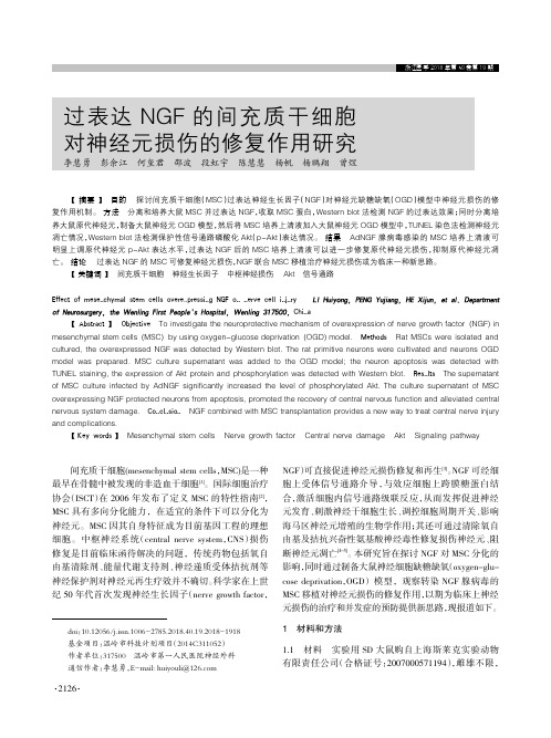 过表达NGF的间充质干细胞对神经元损伤的修复作用研究