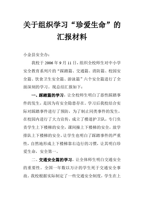 “珍爱生命”的汇报材料