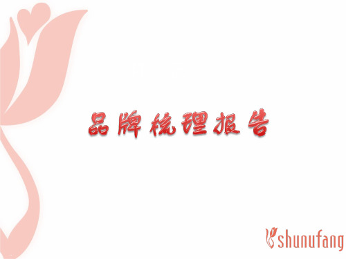 品牌梳理报告PPT课件