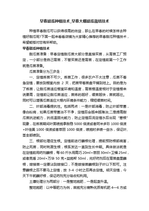 早春甜瓜种植技术_早春大棚甜瓜栽培技术