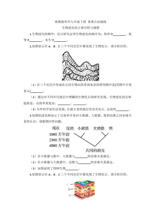 浙教版科学九年级下册 重难点加强练 生物进化的主要历程与规律 专题练习(含解析)