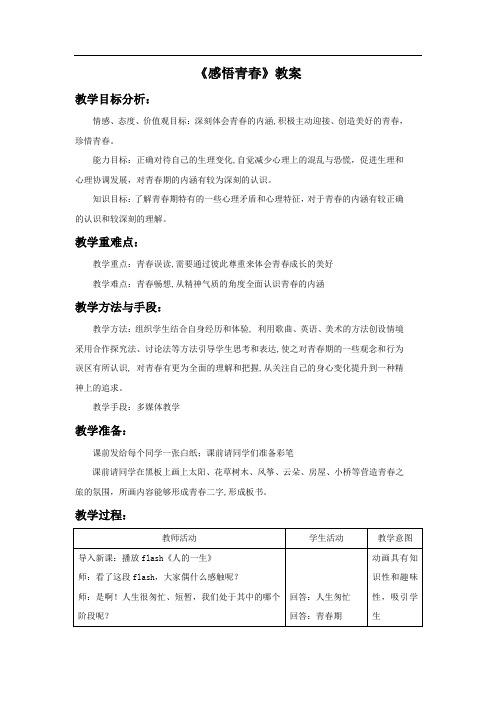 《感悟青春》教案3