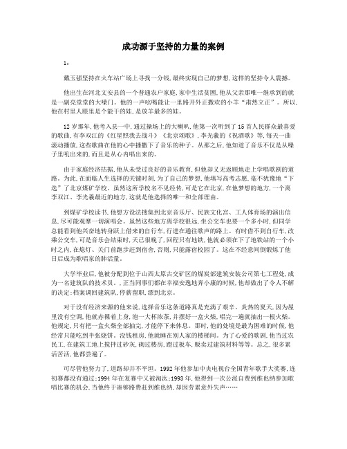 成功源于坚持的力量的案例