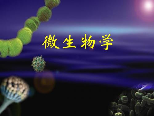 第三节营养物质进入细胞的方式