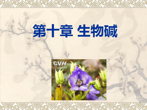 生物碱