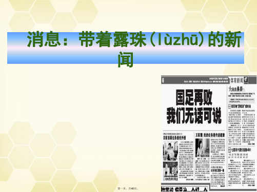 高考语文 第二章消息：带着露珠的新闻课件 新人教版