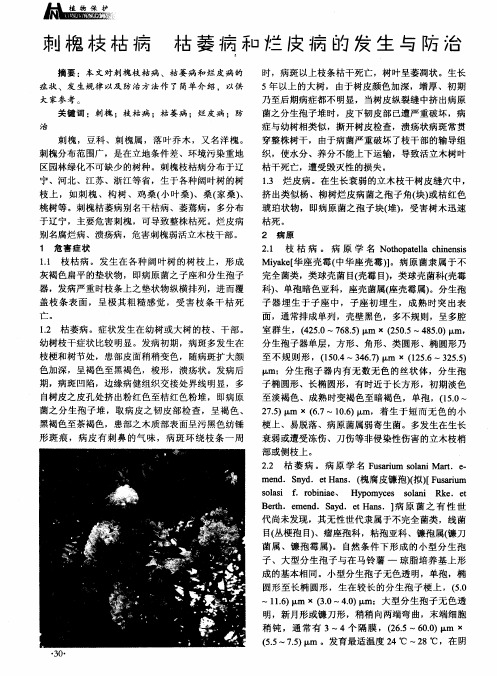 刺槐枝枯病 枯萎病和烂皮病的发生与防治