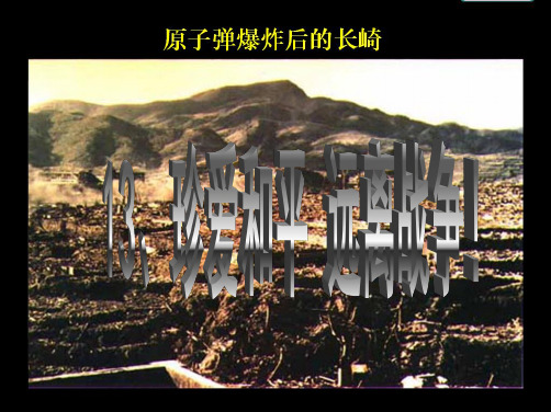 第十三课、珍爱和平_远离战争(课件)