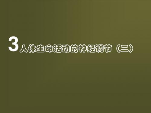 华师大八年级科学人的生命活动的神经调节