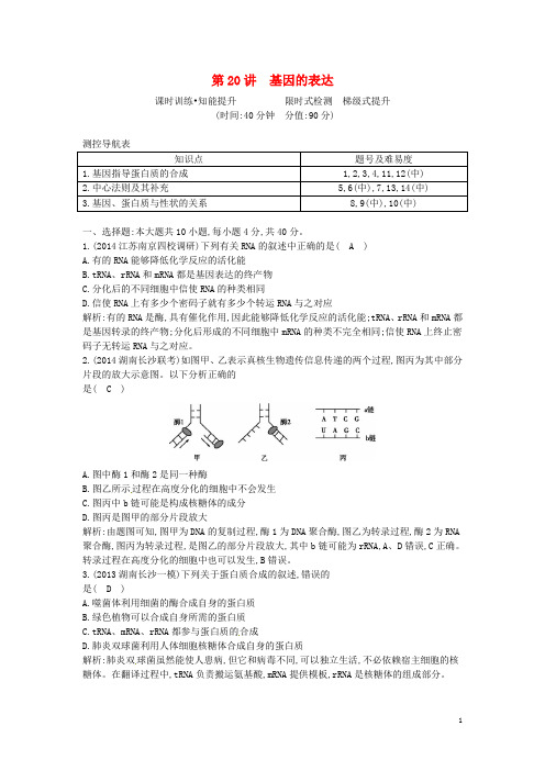 高三生物一轮总复习 第六单元 基因的本质与表达 第20讲 基因的表达课时训练(含解析) 