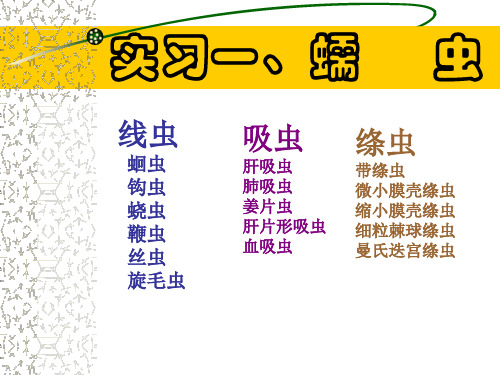 寄生虫学实验课课件：蠕虫(专升本)