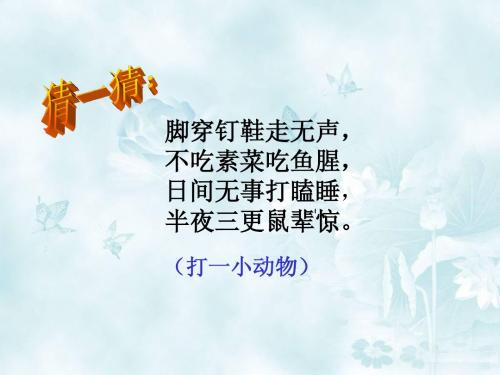 新《我们家的猫》课件(冀教版小学语文四年级下册课件)