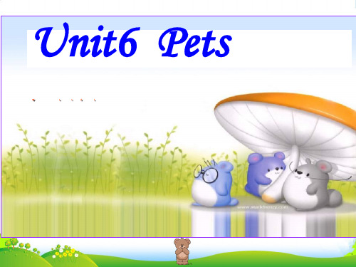 牛津深圳版八年级英语下册《Unit 6 Pets》课件：Words