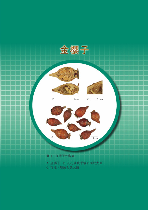 金樱子