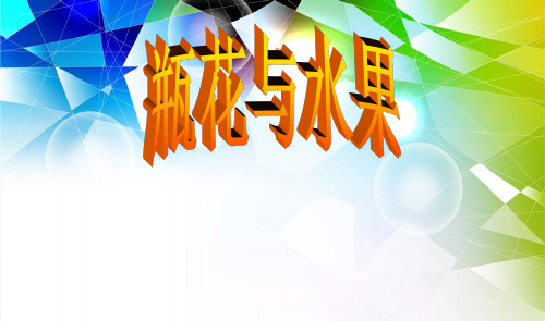 《 瓶花与水果》ppt