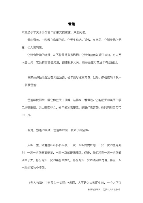 小学四年级散文：雪莲
