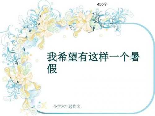 小学六年级作文《我希望有这样一个暑假》450字