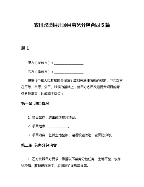 农田改造提升项目劳务分包合同5篇