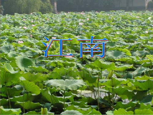 部编教材一年级上册语文《江南》课堂课件
