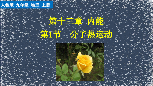 九年级上册物理(人教版)教学课件PPT第13章第1节分子热运动