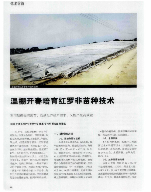 温棚开春培育红罗非苗种技术