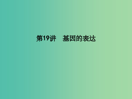 高考生物一轮复习 第六单元 遗传的分子基础 第19讲 基因的表达课件