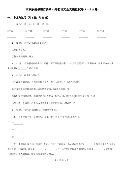西双版纳傣族自治州小升初语文全真模拟试卷(一)A卷