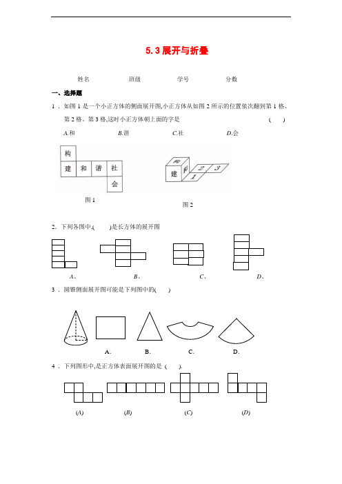 5.3 图形的展开与折叠课时训练(含答案)