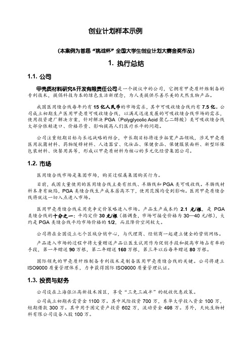 创业计划样本示例