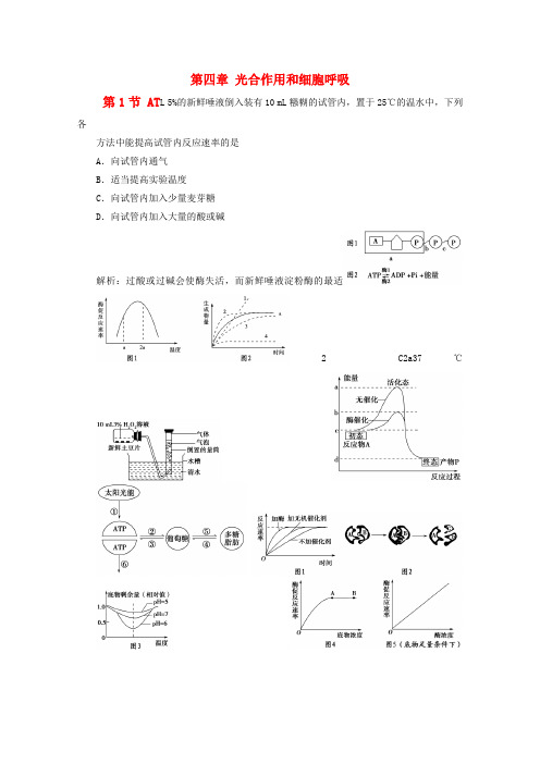 2022届高中生物 4.1《ATP和酶》同步练习 苏教版必修1
