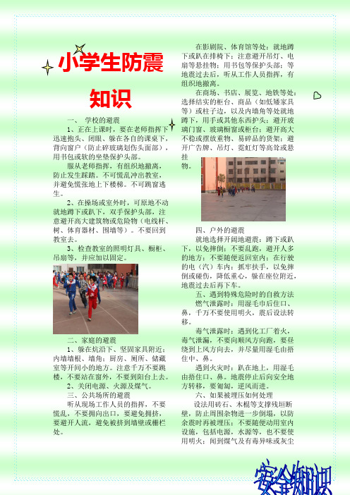 宣传小报