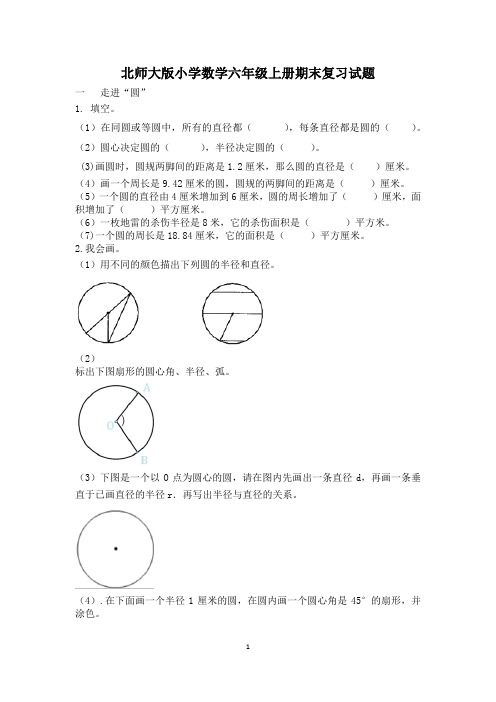 北师大版小学数学六年级上册期末复习试题(全册)