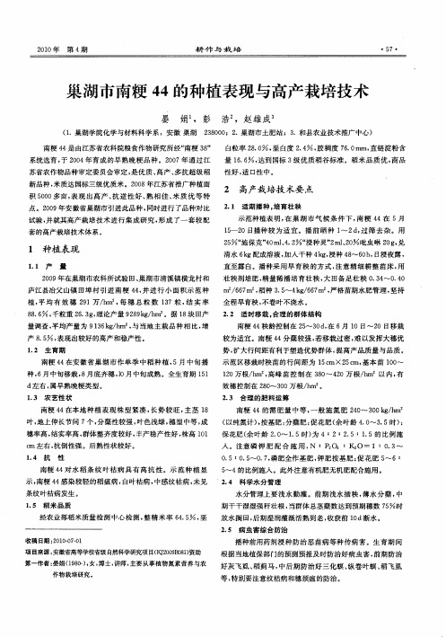 巢湖市南粳44的种植表现与高产栽培技术