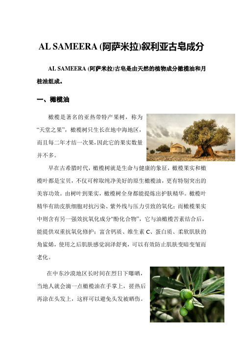 叙利亚古皂的主要成分