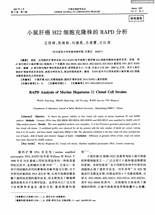 小鼠肝癌H22细胞克隆株的RAPD分析