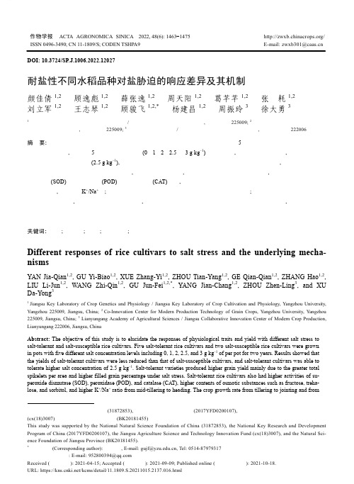 耐盐性不同水稻品种对盐胁迫的响应差异及其机制