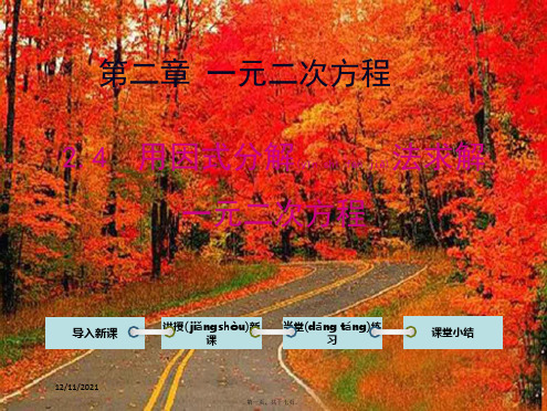 九年级数学上册 第二章 一元二次方程4 用因式分解法求解一元二次方程教学课件