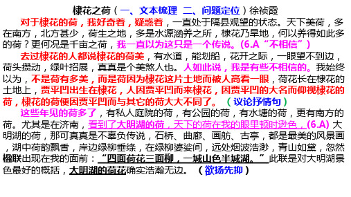 棣花之荷高考试题精讲精做